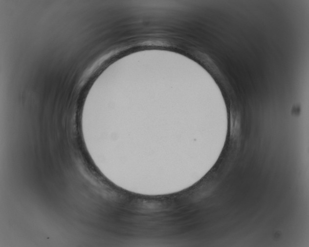 X0000115760531200912241731