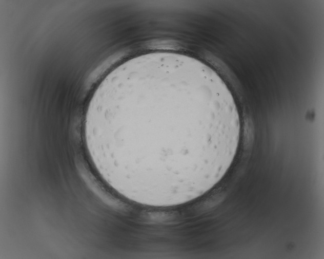 X0000115760533200912241731