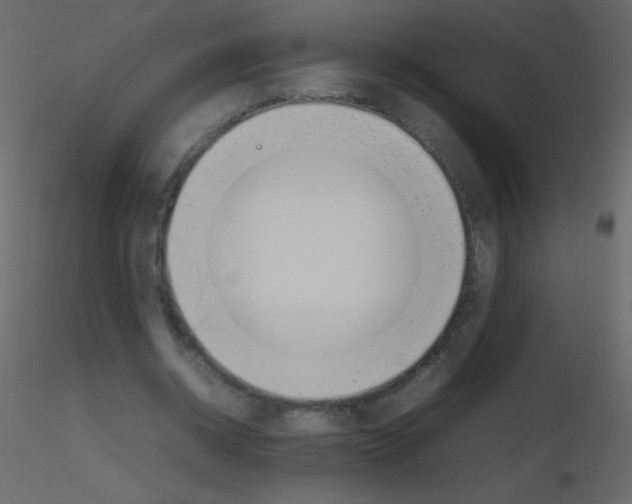 X0000115760534200912241731