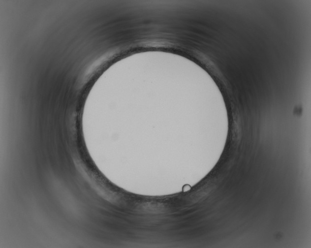 X0000115760535200912241731
