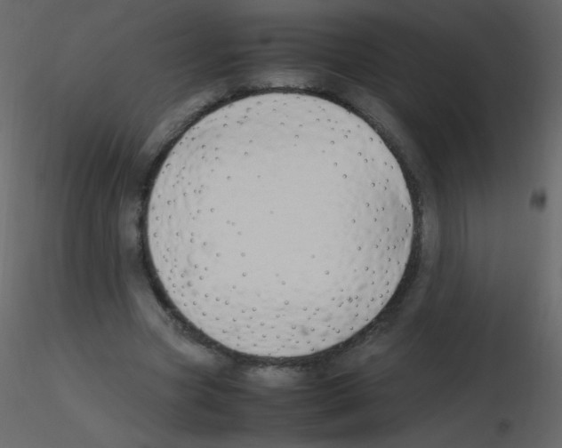 X0000115760537200912241731