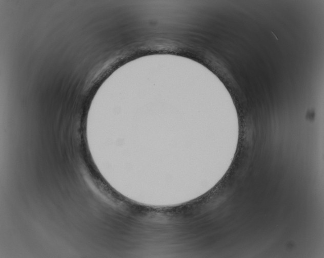 X0000115760538200912241731