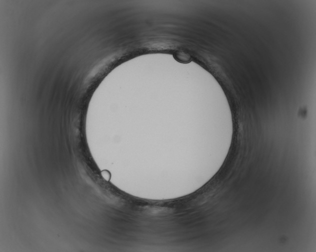 X0000115760539200912241731