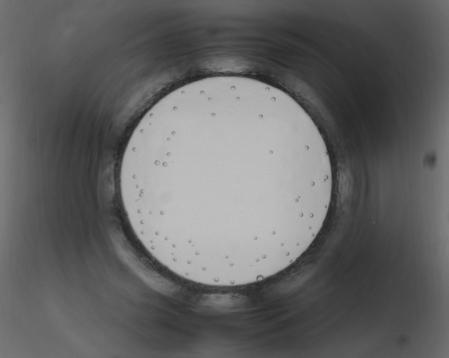 X0000115760541200912241731
