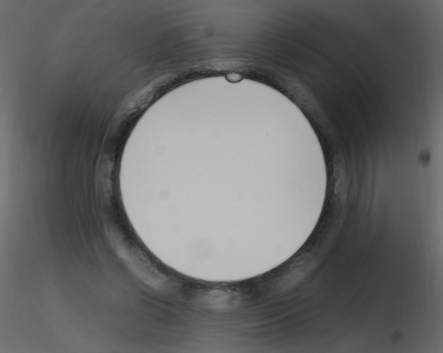 X0000115760542200912241731