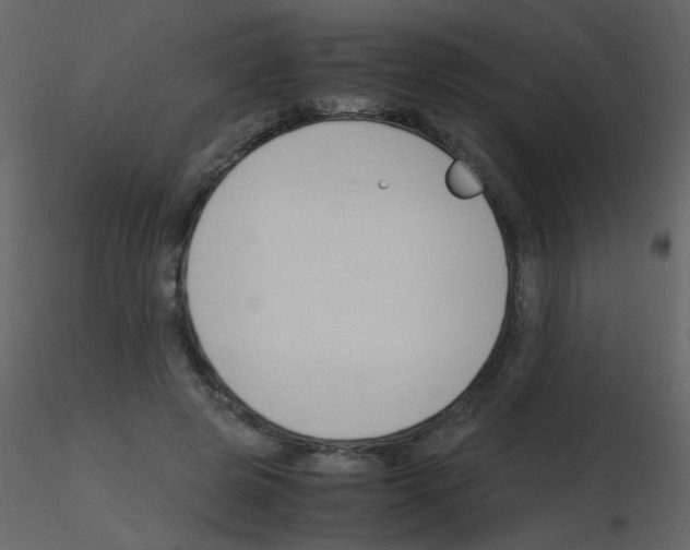 X0000115760545200912241731