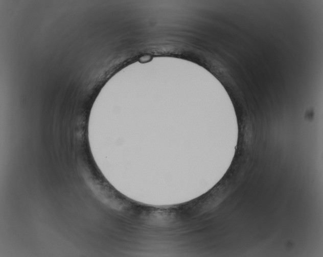 X0000115760546200912241731