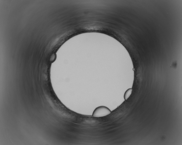 X0000115760547200912241731