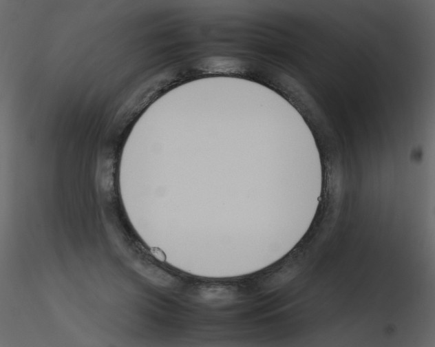 X0000115760549200912241731