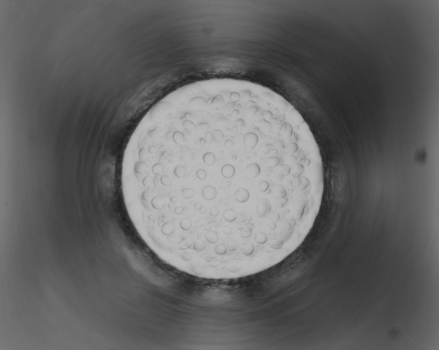 X0000115760550200912241731