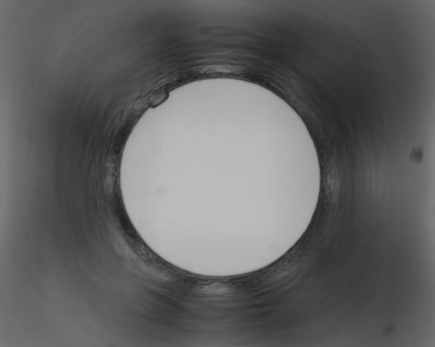 X0000115760551200912241731