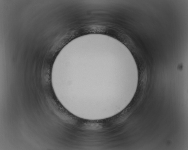 X0000115760553200912241731