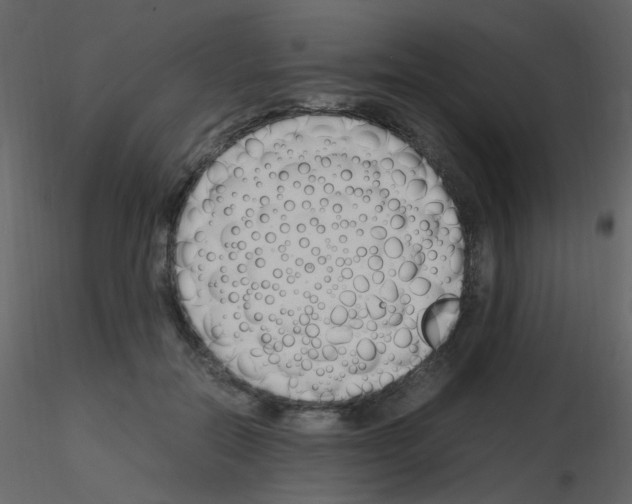 X0000115760554200912241731