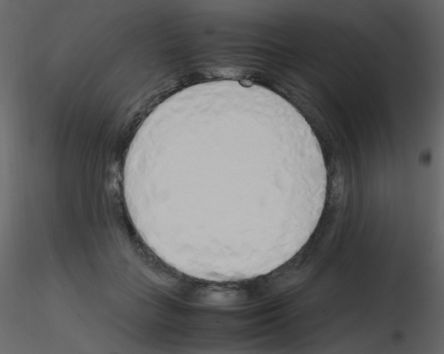 X0000115760555200912241731