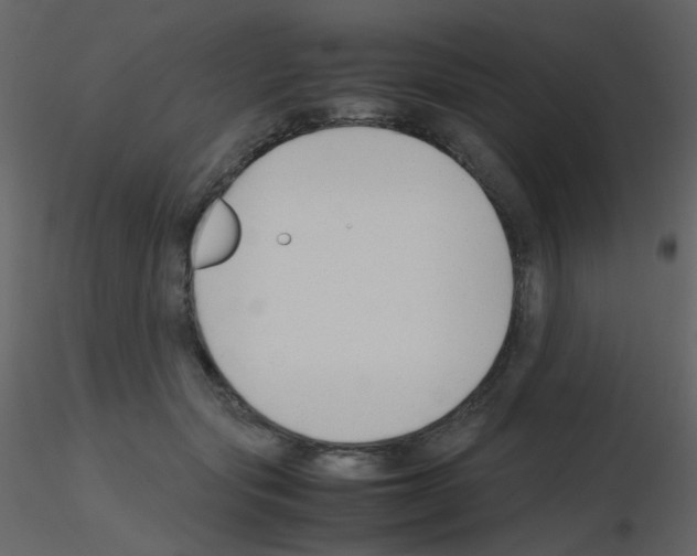 X0000115760557200912241731