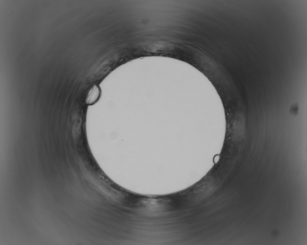 X0000115760558200912241731