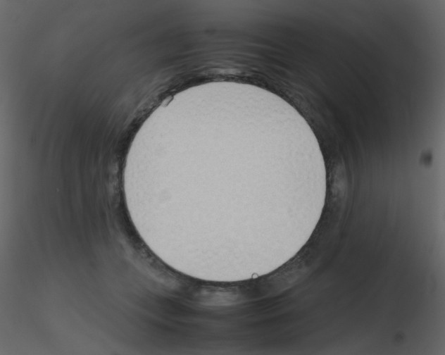 X0000115760559200912241731