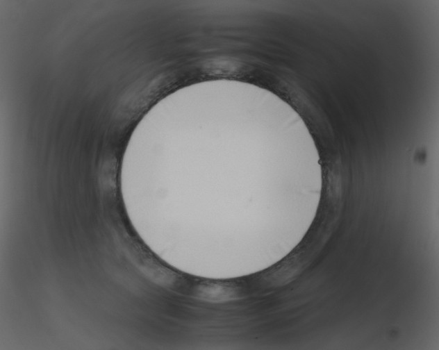 X0000115760561200912241731