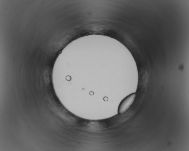 X0000115760562200912241731