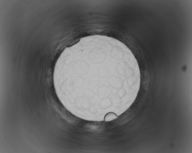 X0000115760563200912241731