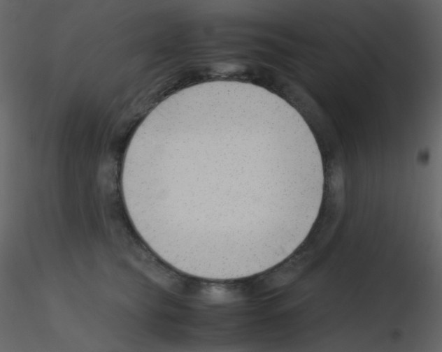 X0000115760565200912241731