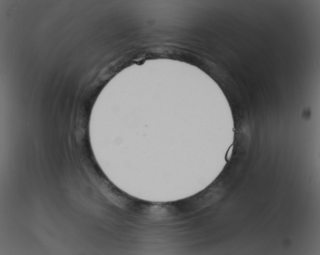 X0000115760566200912241731