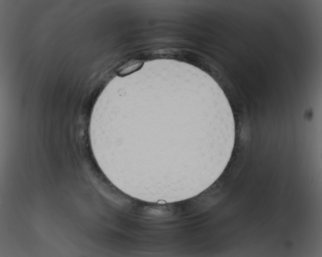 X0000115760567200912241731