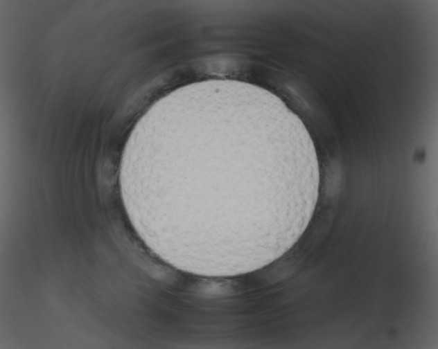 X0000115760569200912241731