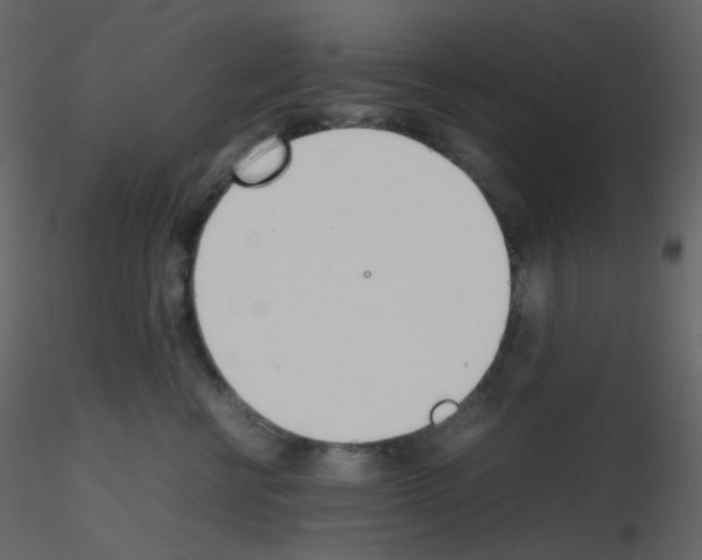 X0000115760570200912241731