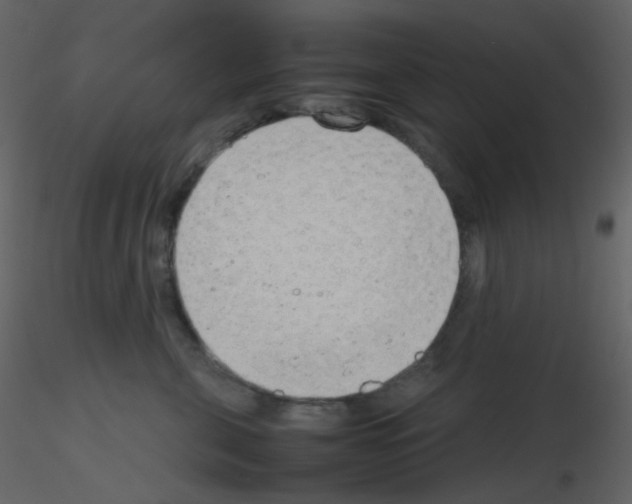 X0000115760571200912241731