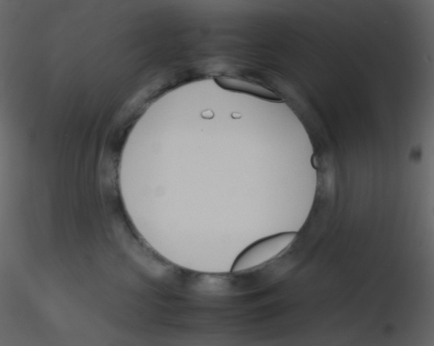 X0000115760573200912241731