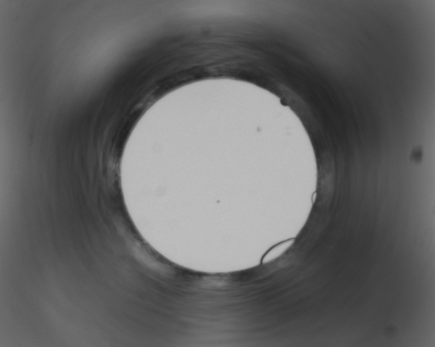 X0000115760574200912241731