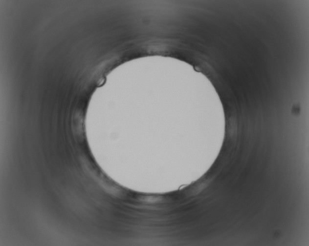 X0000115760575200912241731
