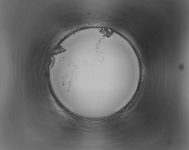 X0000115760577200912241731