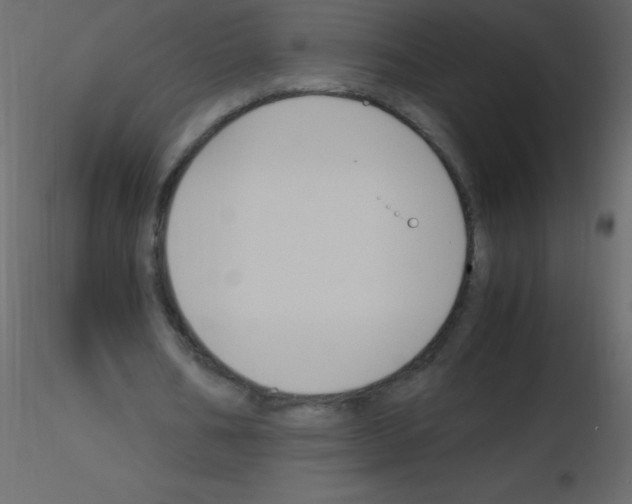 X0000115760578200912241731
