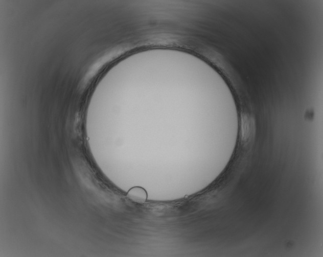 X0000115760579200912241731