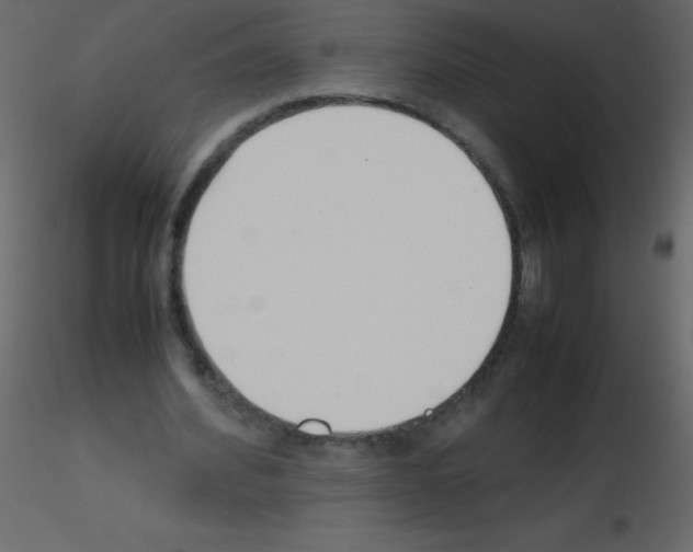 X0000115760580200912241731