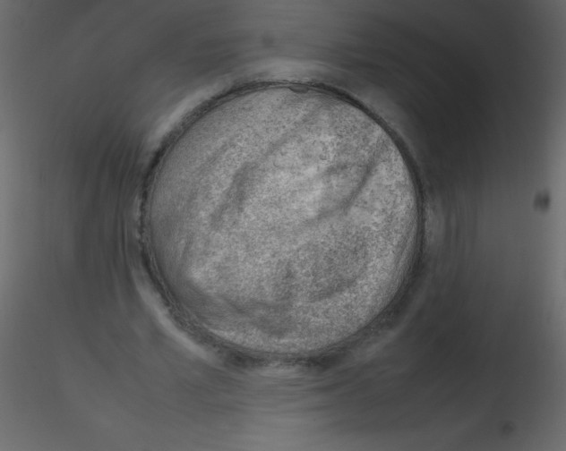 X0000115760581200912241731