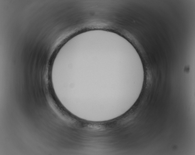 X0000115760582200912241731