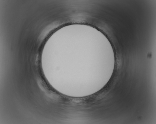 X0000115760583200912241731
