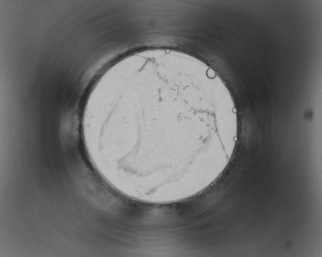 X0000115760584200912241731
