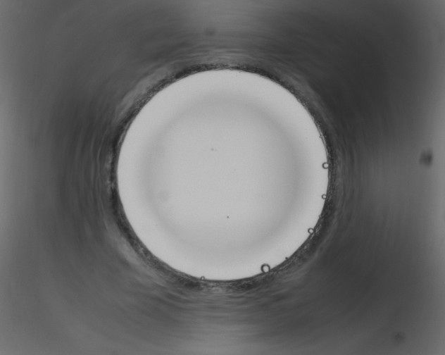 X0000115760585200912241731