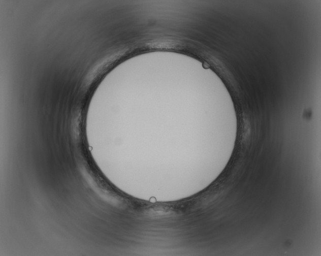 X0000115760586200912241731