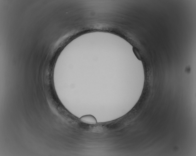 X0000115760587200912241731