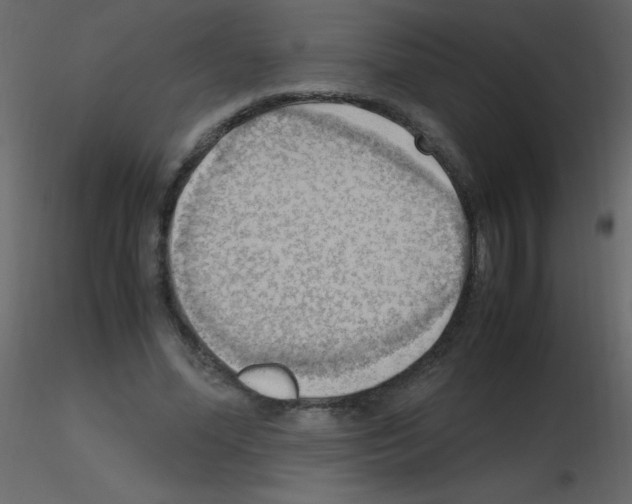 X0000115760588200912241731