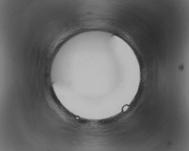 X0000115760589200912241730