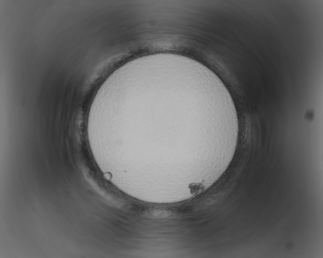 X0000115760590200912241730