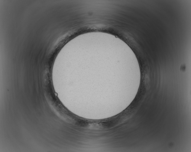X0000115760591200912241730