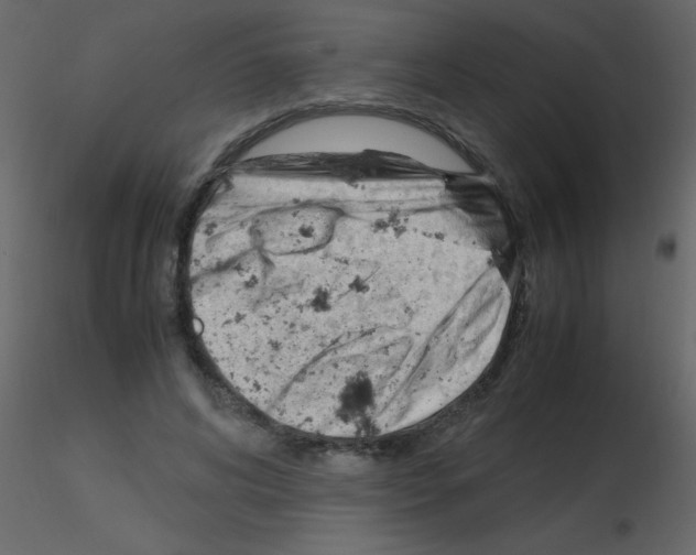 X0000115760592200912241730