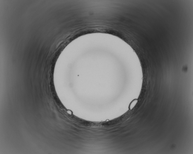 X0000115760595200912241730